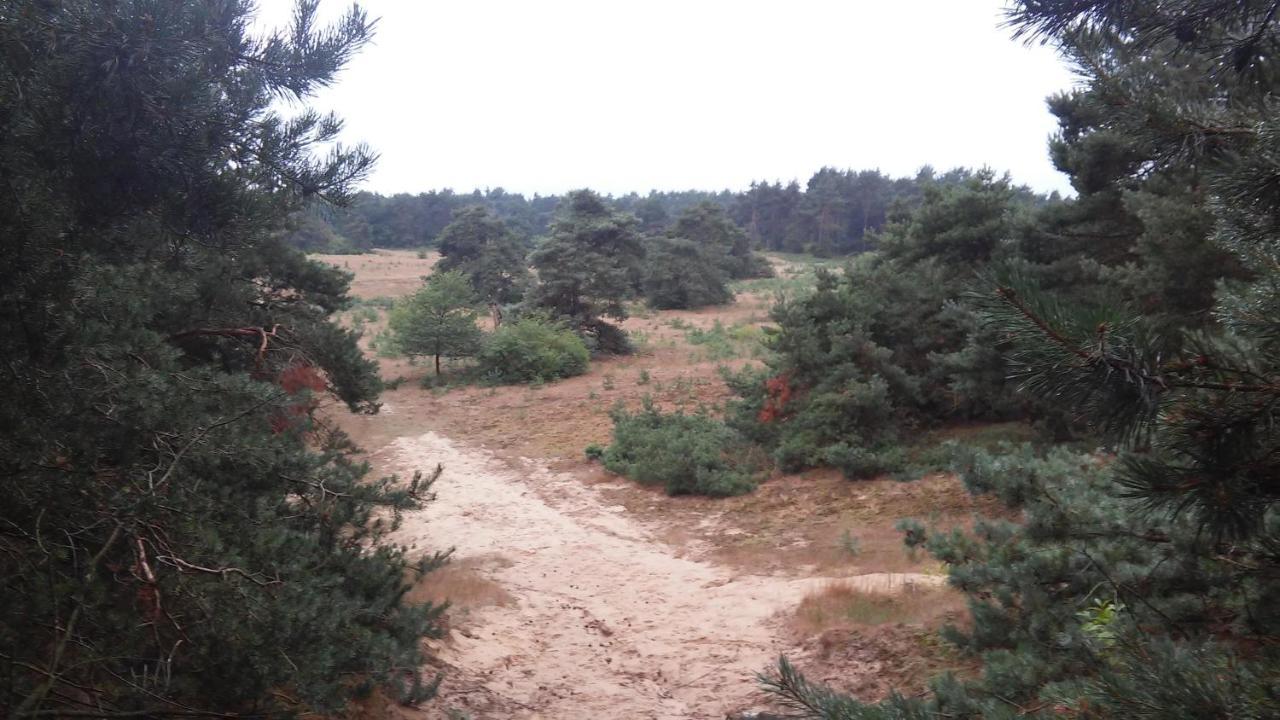 Poort Van De Veluwe 부투이젠 외부 사진