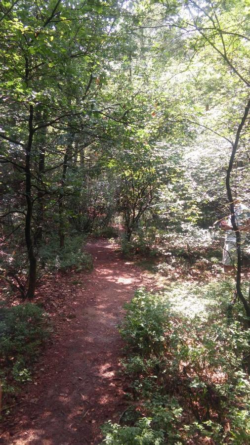 Poort Van De Veluwe 부투이젠 외부 사진