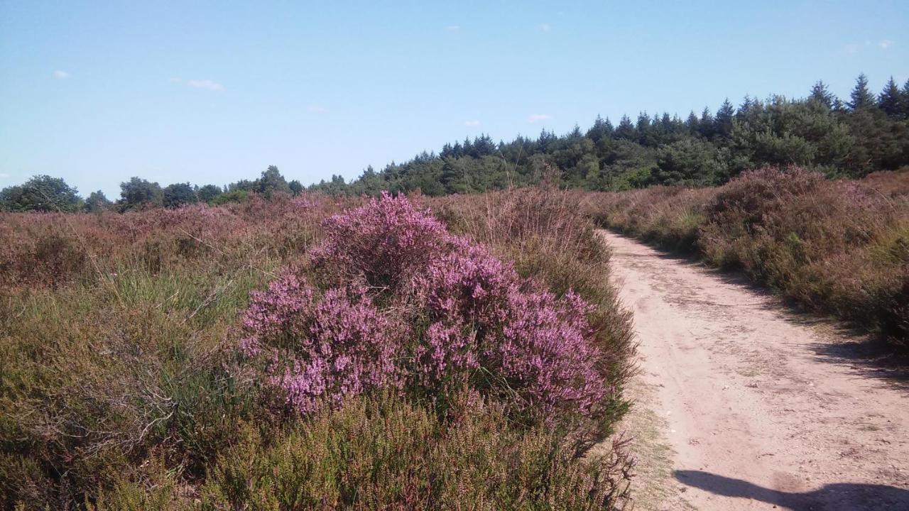 Poort Van De Veluwe 부투이젠 외부 사진