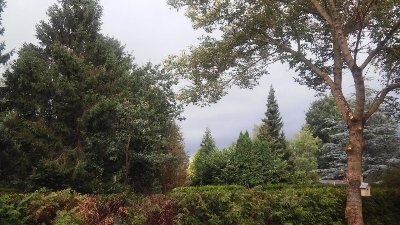 Poort Van De Veluwe 부투이젠 외부 사진