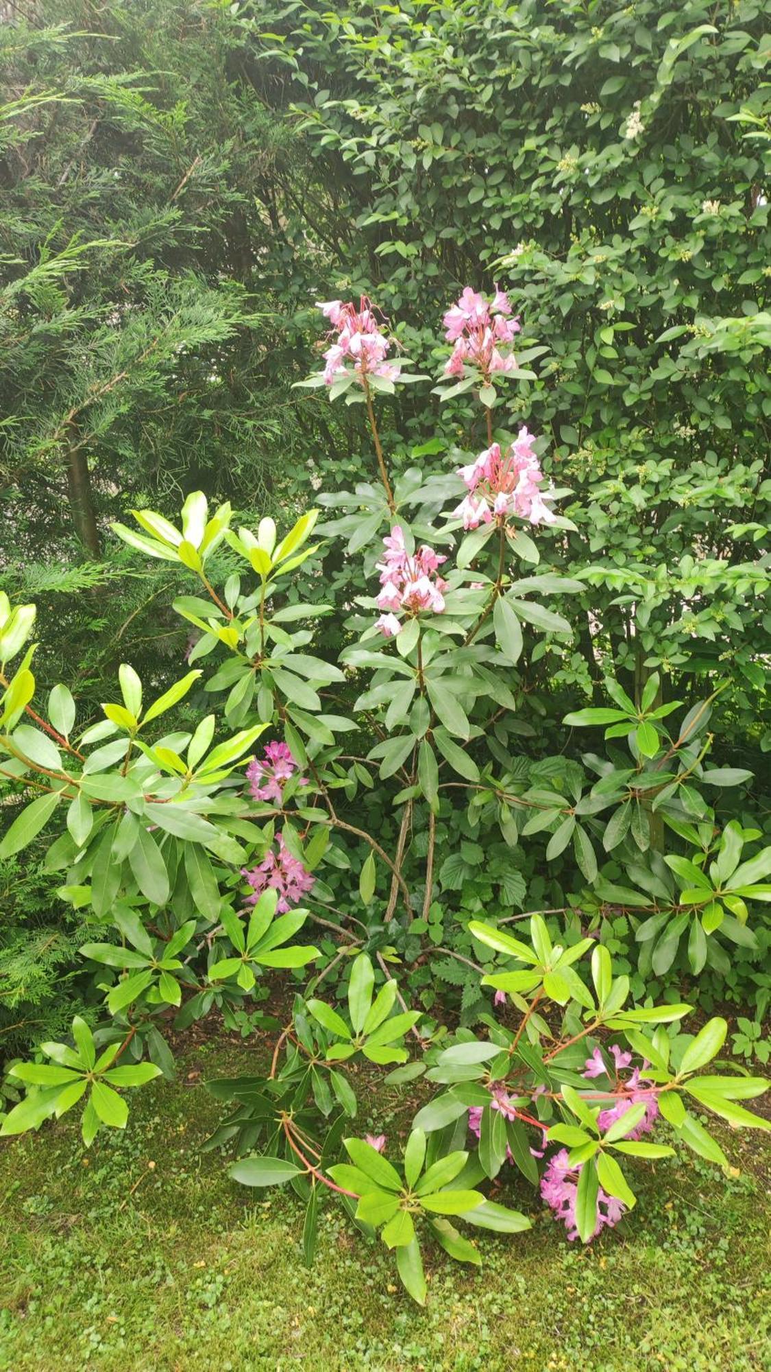 Poort Van De Veluwe 부투이젠 외부 사진