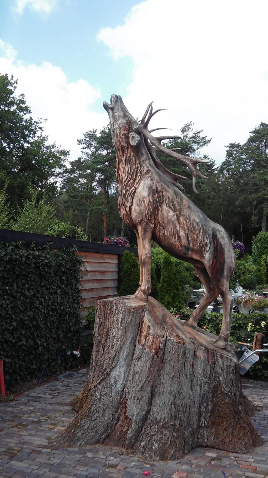Poort Van De Veluwe 부투이젠 외부 사진