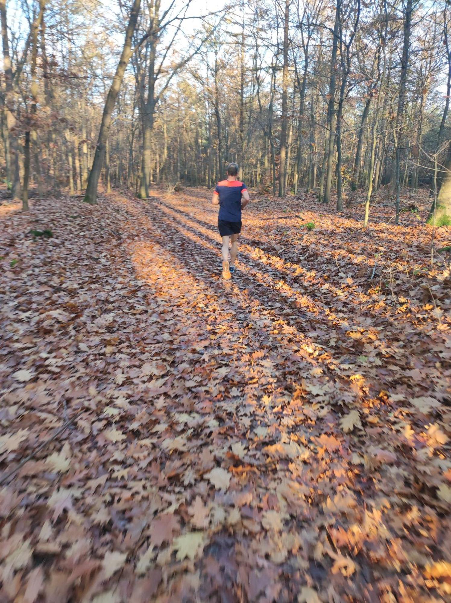 Poort Van De Veluwe 부투이젠 외부 사진